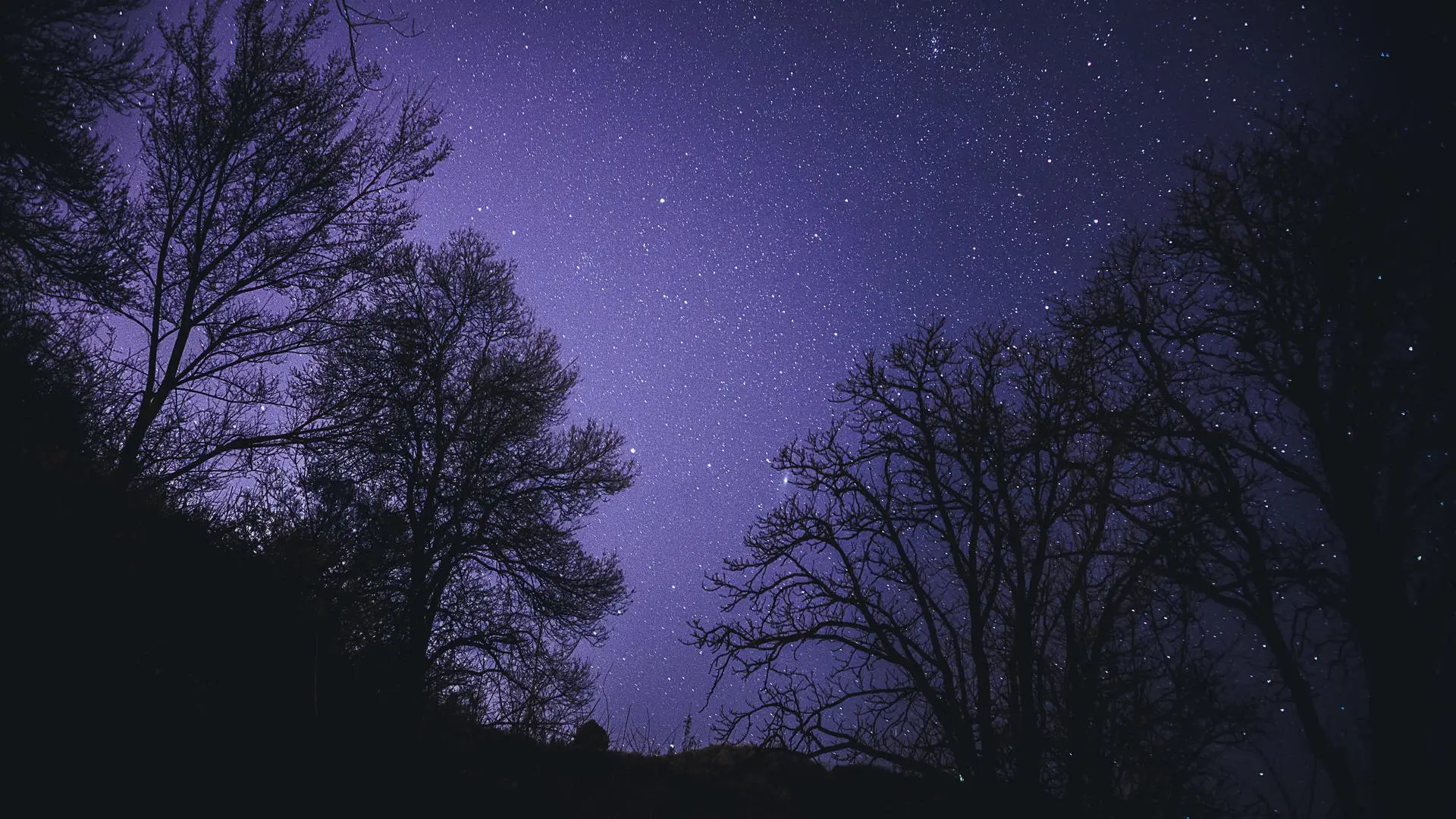 夜空 星星 星夜 树木 剪影 黑暗 紫色 自然 风景 弱光 4K壁纸