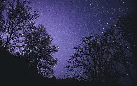 夜空 星星 星夜 树木 剪影 黑暗 紫色 自然 风景 弱光 4K壁纸