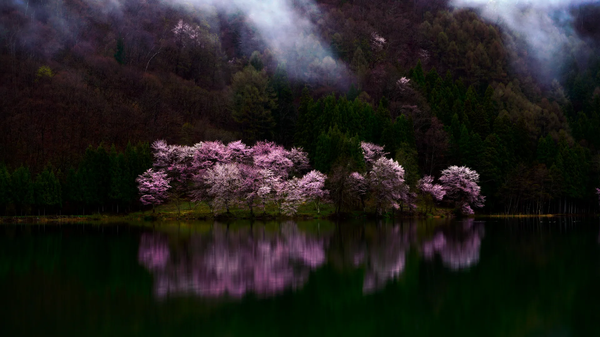 自然 景观 树木 山脉 水 森林 樱花 弱光 山谷 湖泊 4K壁纸