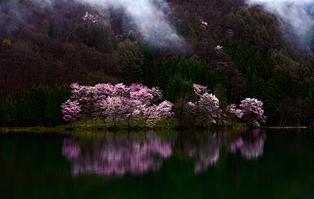 自然 景观 树木 山脉 水 森林 樱花 弱光 山谷 湖泊 4K壁纸