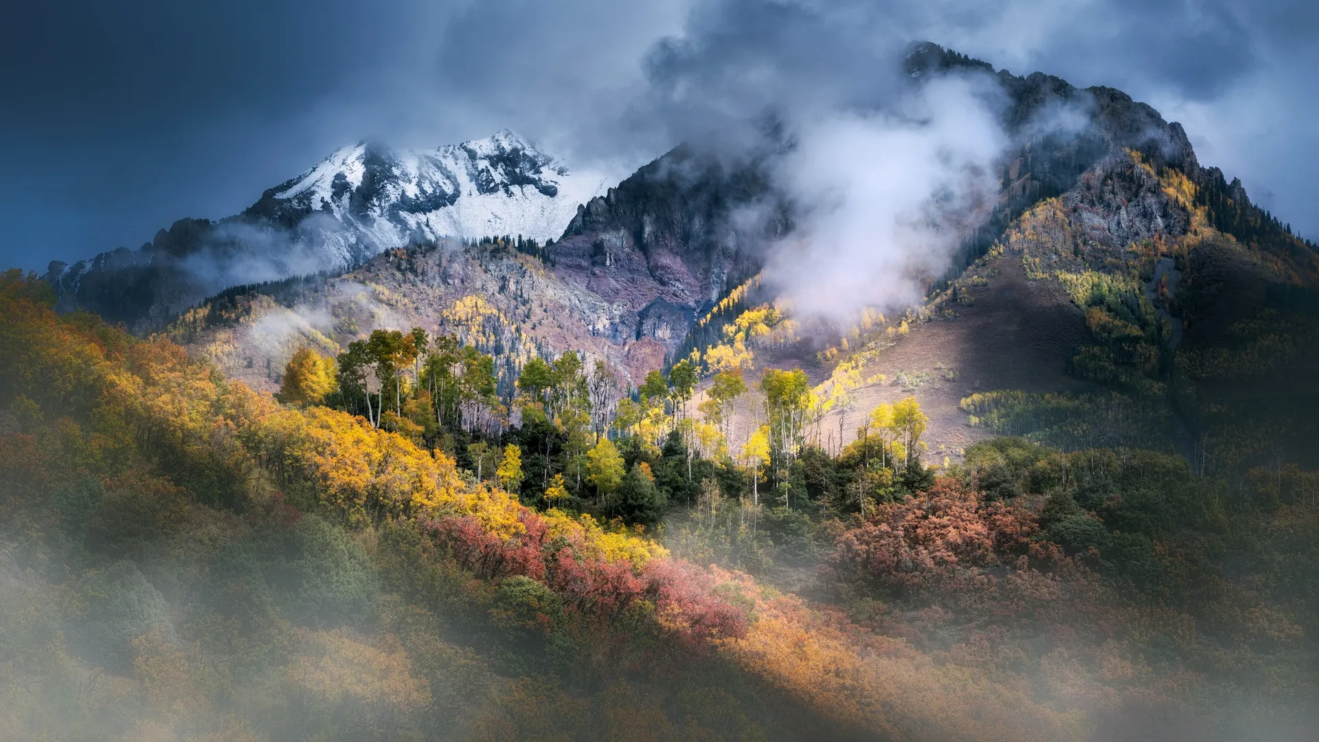 摄影 风景 山脉 云 森林 树木 雾 雪 4K壁纸