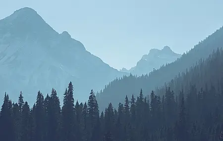 森林 山脉 风景 树木 自然 4K壁纸