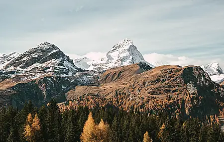 风景 山脉 雪 森林 自然 4K壁纸