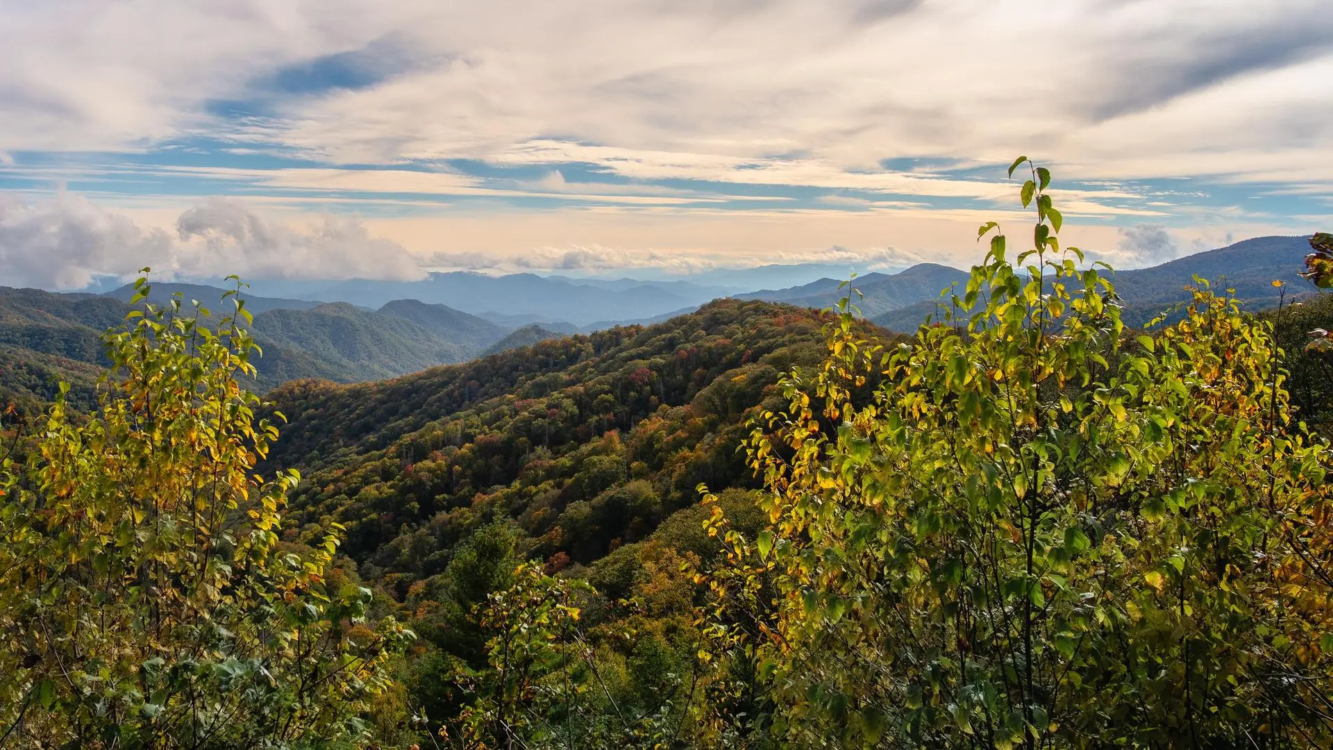 云 森林 自然 景观 山脉 山景 树木 4K壁纸