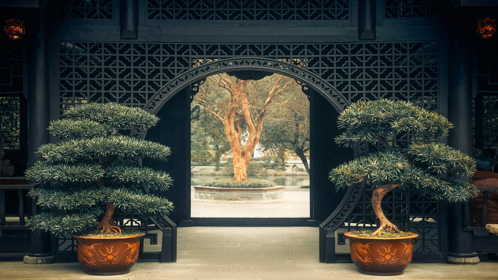 中国 植物 树木 盆景 建筑 对称 和平 门口 4K壁纸