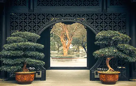 中国 植物 树木 盆景 建筑 对称 和平 门口 4K壁纸