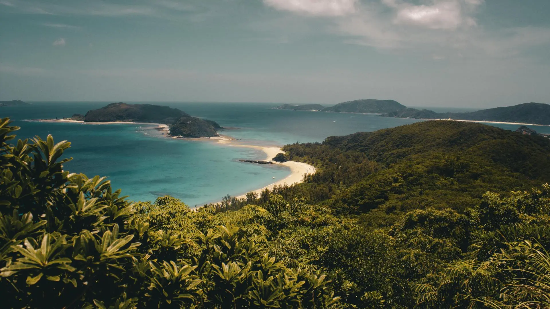 景观 岛屿 自然 森林 海滩 海洋 云 4K壁纸