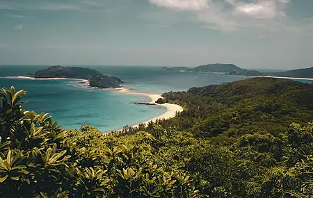 景观 岛屿 自然 森林 海滩 海洋 云 4K壁纸