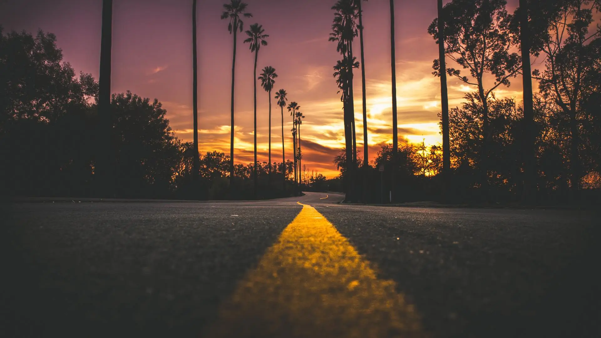 风景 自然 道路 夕阳 棕榈树 沥青 剪影 橙色 天空 4K壁纸