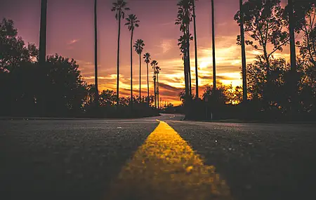 风景 自然 道路 夕阳 棕榈树 沥青 剪影 橙色 天空 4K壁纸