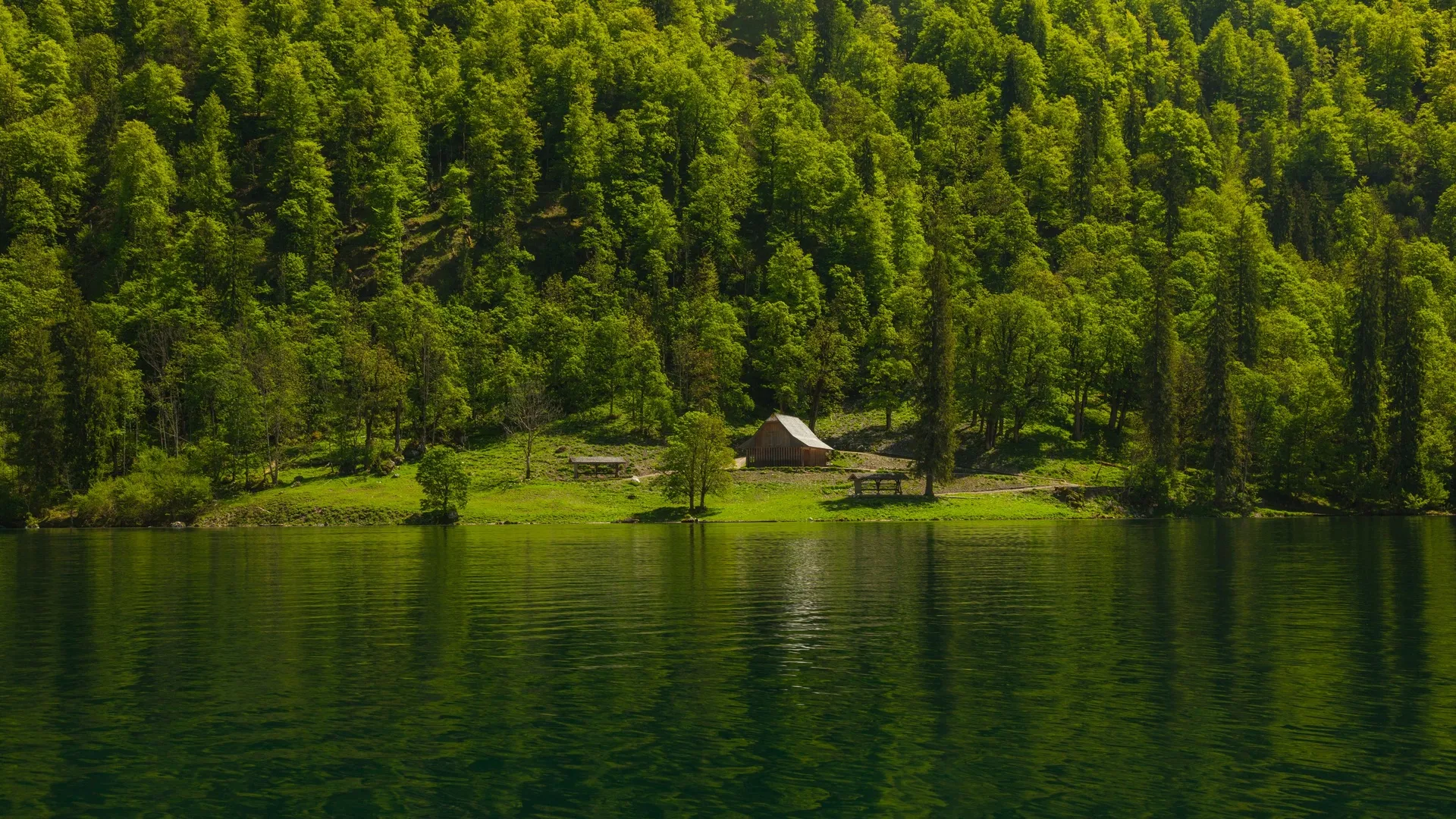 森林 水 绿色 倒影 树木 山脉 房屋 河流 风景 自然 丘陵 木屋 4K壁纸