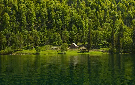 森林 水 绿色 倒影 树木 山脉 房屋 河流 风景 自然 丘陵 木屋 4K壁纸