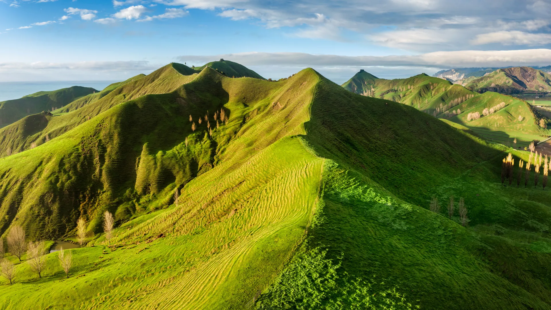 风景 山顶 山 树 天空 云 自然 4K壁纸