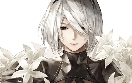 机械纪元 花朵 白色 绘图 4K壁纸