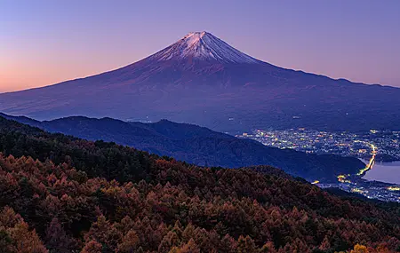 自然 风景 天空 晴朗 城镇 灯光 远景 树木 森林 夕阳 4K壁纸