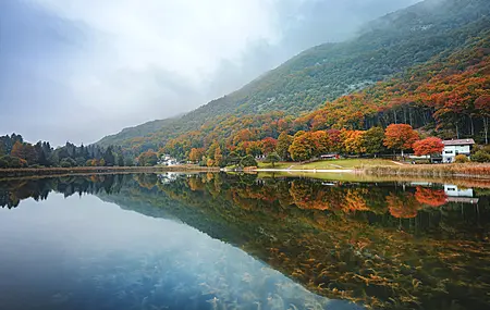 自然 景观 树木 森林 云 水湖 清水 倒影 植物 房屋 秋天 4K壁纸