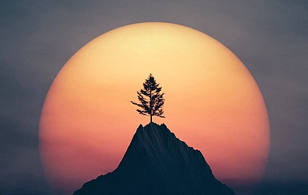 数字艺术 艺术品 插图 数字 绘画 风景 日落 太阳 树木 山顶 4K壁纸