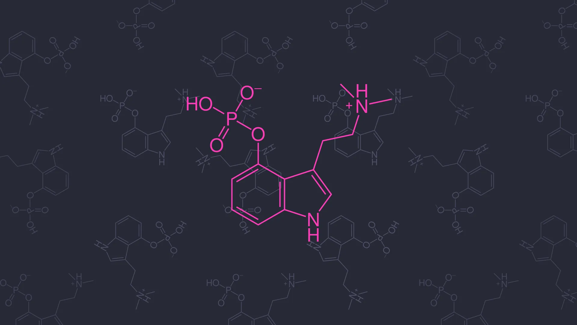 药物 化学 分子模型 迷幻 极简主义 五颜六色 神奇的蘑菇 蘑菇 裸盖菇素  4K壁纸