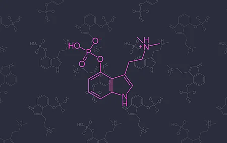 药物 化学 分子模型 迷幻 极简主义 五颜六色 神奇的蘑菇 蘑菇 裸盖菇素  4K壁纸