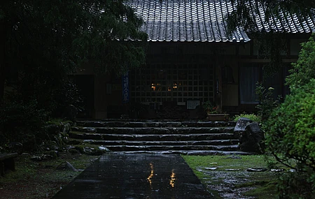 自然 石楼梯 黑暗 弱光 树木 植物 雨季 风 寺庙 4K壁纸