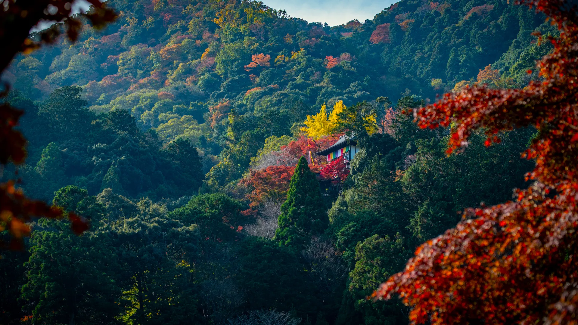 自然 寺庙 山脉 树木 树叶 秋天 森林 4K壁纸
