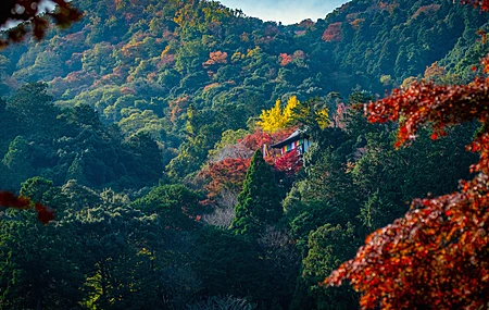 自然 寺庙 山脉 树木 树叶 秋天 森林 4K壁纸