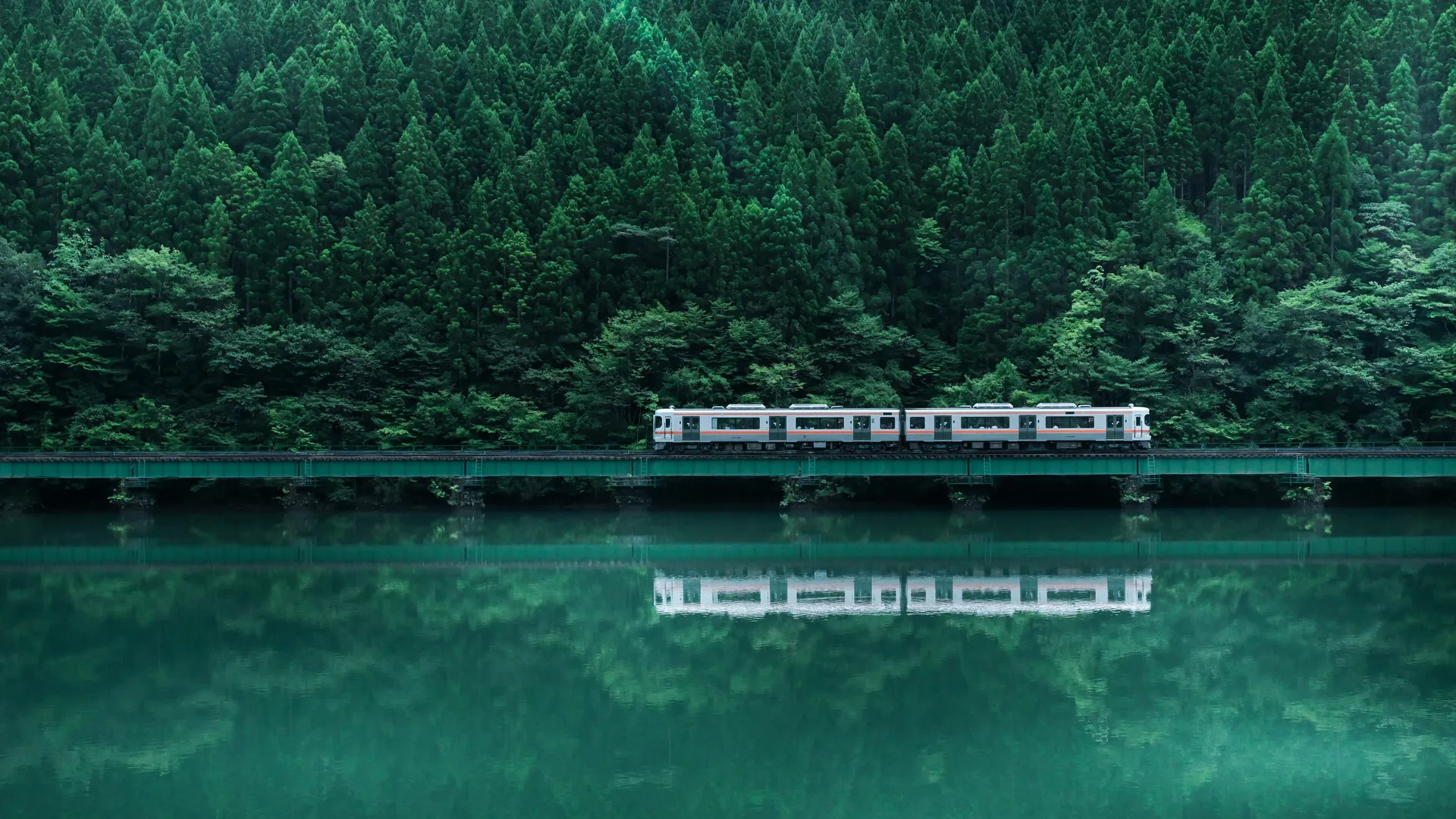 自然 景观 桥梁 树木 森林 树叶 倒影 火车 铁路 高山 4K壁纸