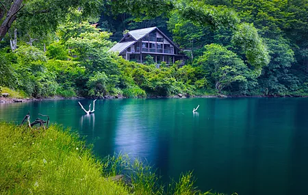 自然 景观 树木 植物 河流 木材 水 湖泊 废墟 废弃 森林 树叶 4K壁纸