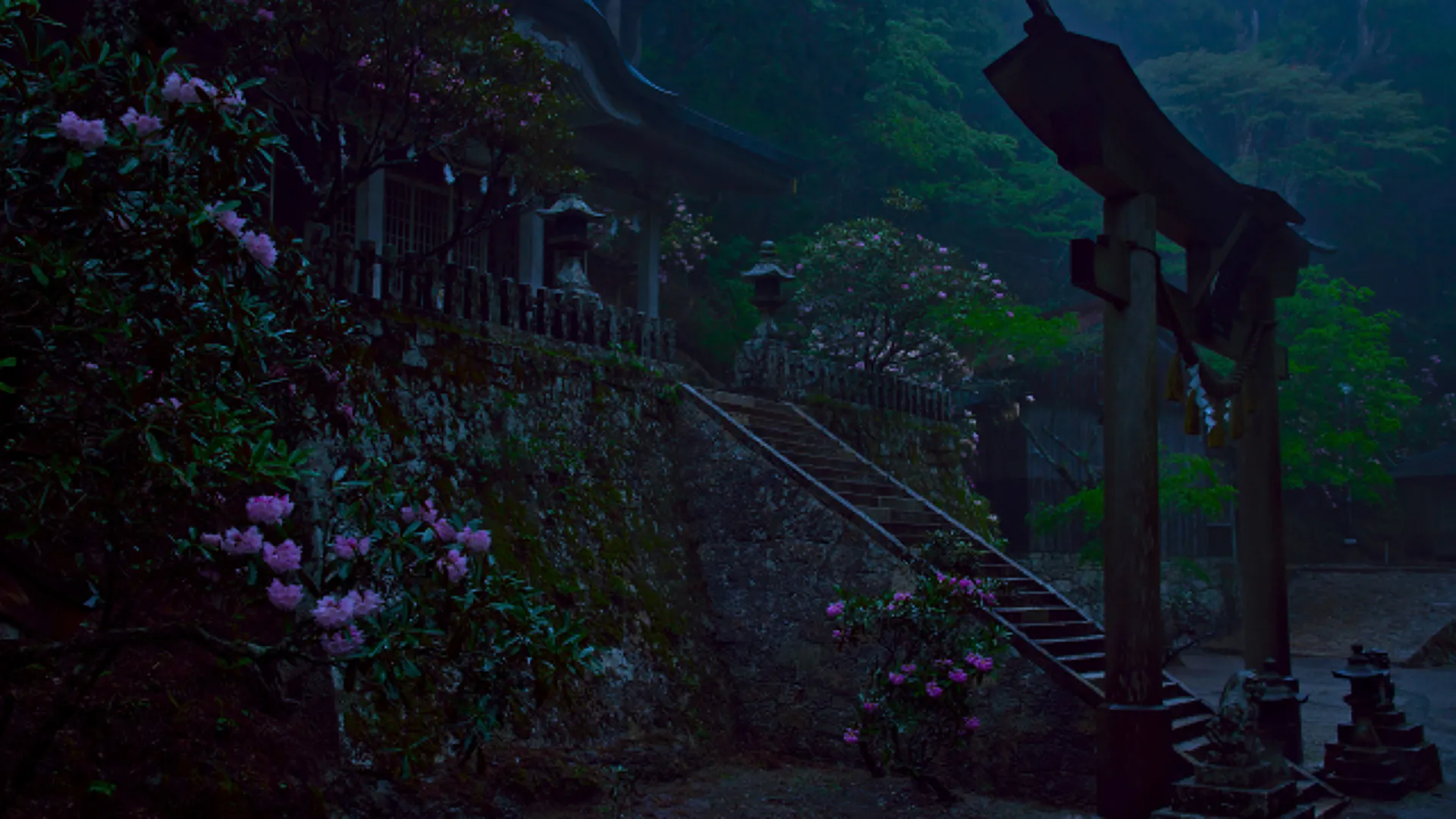 自然 树木 植物 深色 粉色 花 建筑 苔藓 鸟居 神社 寺庙 低光 4K壁纸