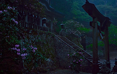自然 树木 植物 深色 粉色 花 建筑 苔藓 鸟居 神社 寺庙 低光 4K壁纸