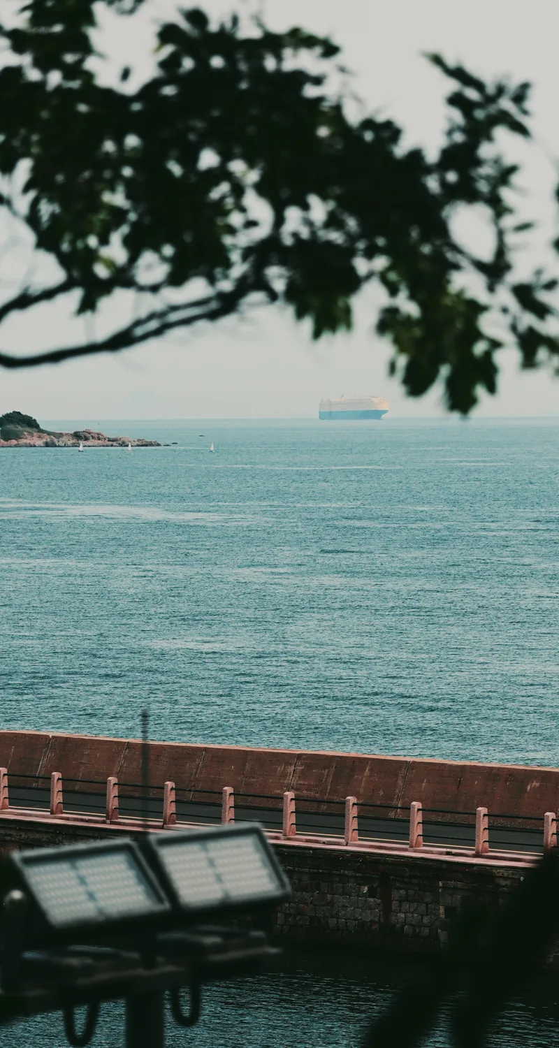 自然 风景 海景 树枝 树叶 水 海 天空 手机壁纸 4K壁纸