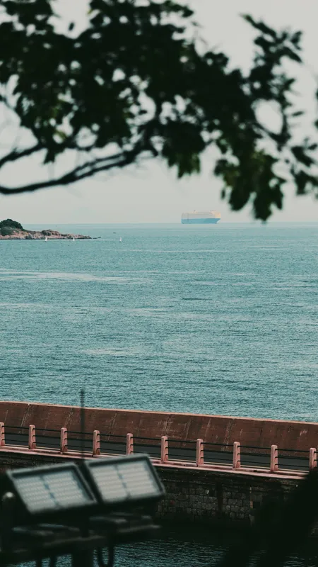 自然 风景 海景 树枝 树叶 水 海 天空 手机壁纸 4K壁纸