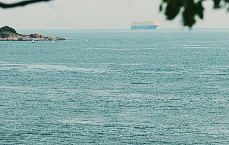 自然 风景 海景 树枝 树叶 水 海 天空 手机壁纸 4K壁纸
