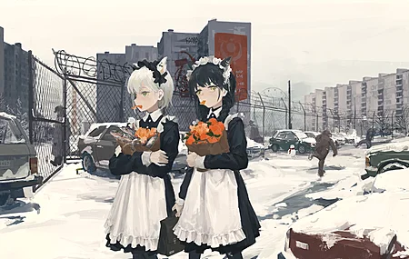 猫女 动漫 女孩 女仆 白雪 汽车 橙子 水果 鱼 刷子 4K壁纸