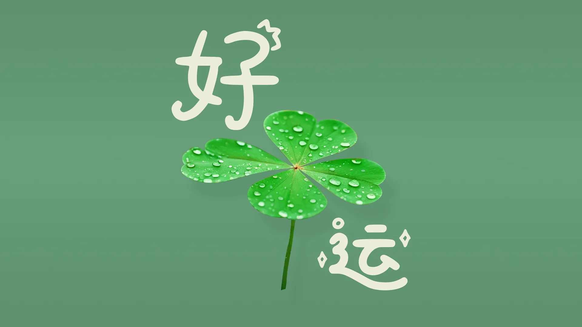 好运 四叶草 护眼 带鱼屏 壁纸 绿色 简约 简单背景 2K壁纸