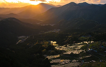自然 风景 天空 山脉 树木 森林 城镇 农场 远景 电线 弱光 稻田 夕阳 阳光 4K壁纸
