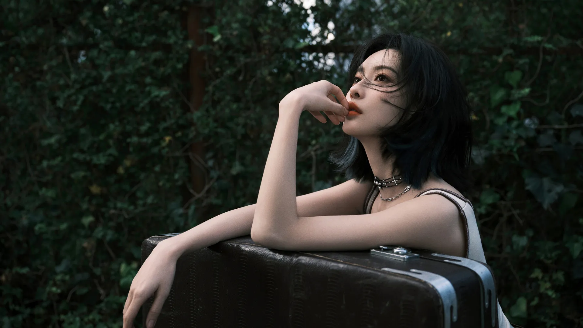 孟子义 旅行 行李箱 美女 4K壁纸