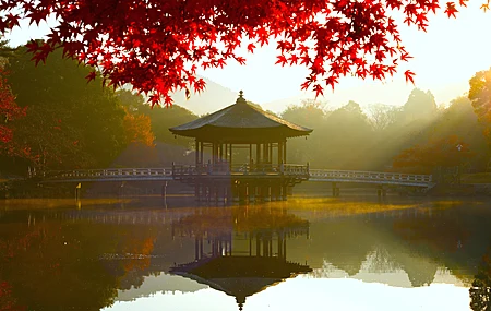 自然 景观 叶子 树叶 水面 倒影 桥梁 树木 阳光 早晨 秋天 4K壁纸