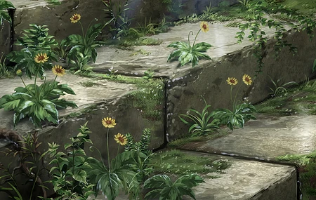 绘画 向日葵 苔藓 台阶 石头 植物 草 攀爬 植物 特写 4K壁纸