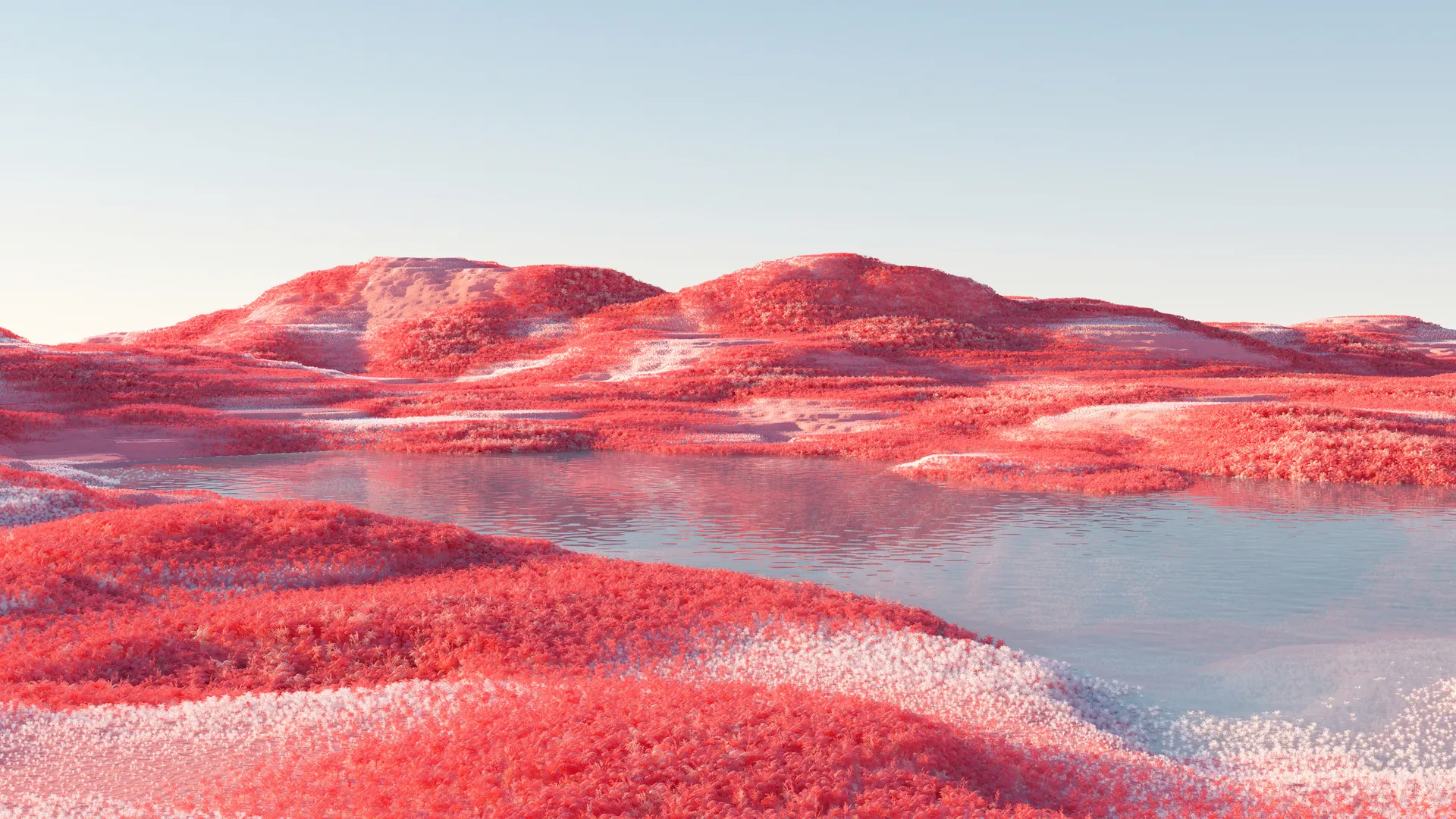 风景 自然 植物 水 倒影 抽象 CGI 4K壁纸