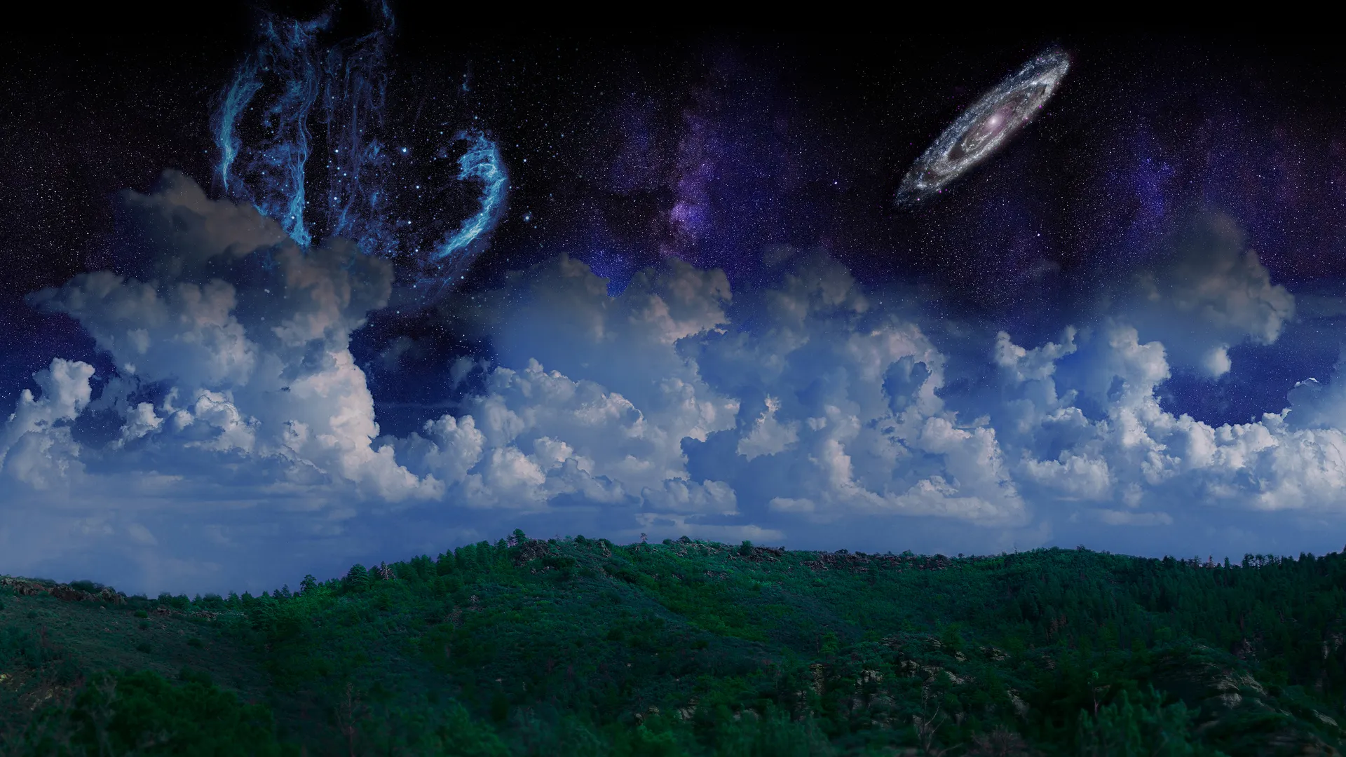 树木 森林 天空 星星 云层 银河系 风景 狂欢 夜晚 4K壁纸