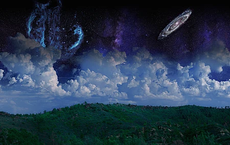 树木 森林 天空 星星 云层 银河系 风景 狂欢 夜晚 4K壁纸