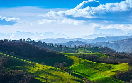 自然 风景 天空 云 草 田野 山丘 树木 阳光 远景 日出 森林 绿色 4K壁纸