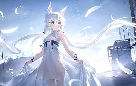 明日方舟 迷迭香 白发长发 绿眼睛 兽耳 站立 雨天 天空