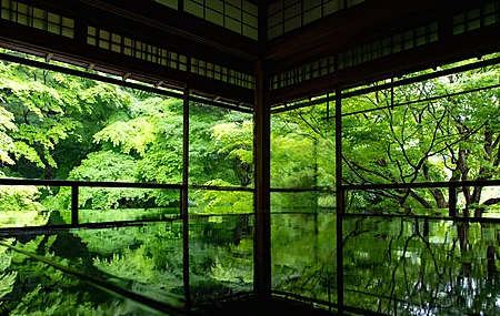 古建 树木枝叶 水面倒影 绿植 暗光环境 超宽屏 4K壁纸