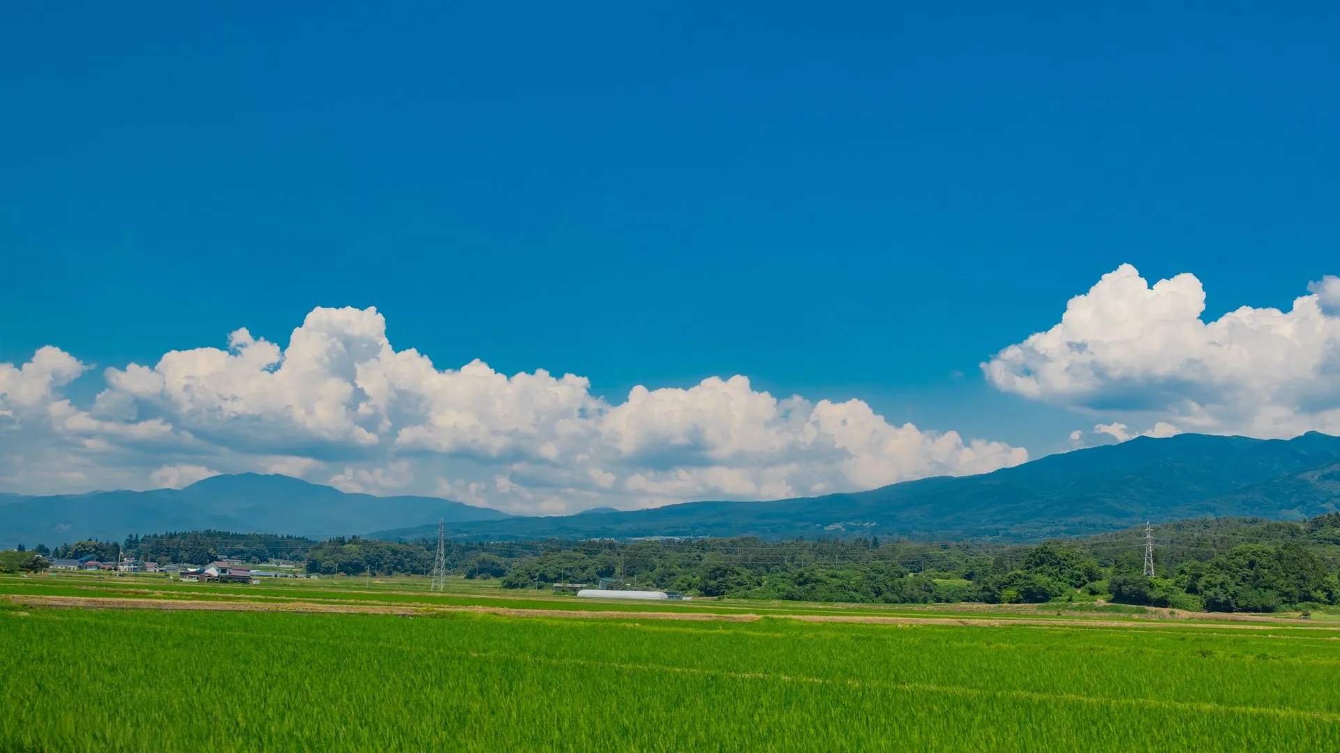 摄影 乡村 风景 田野 夏天 云朵 电线 群山 村庄 绿色 蓝色 天空 户外 4K壁纸