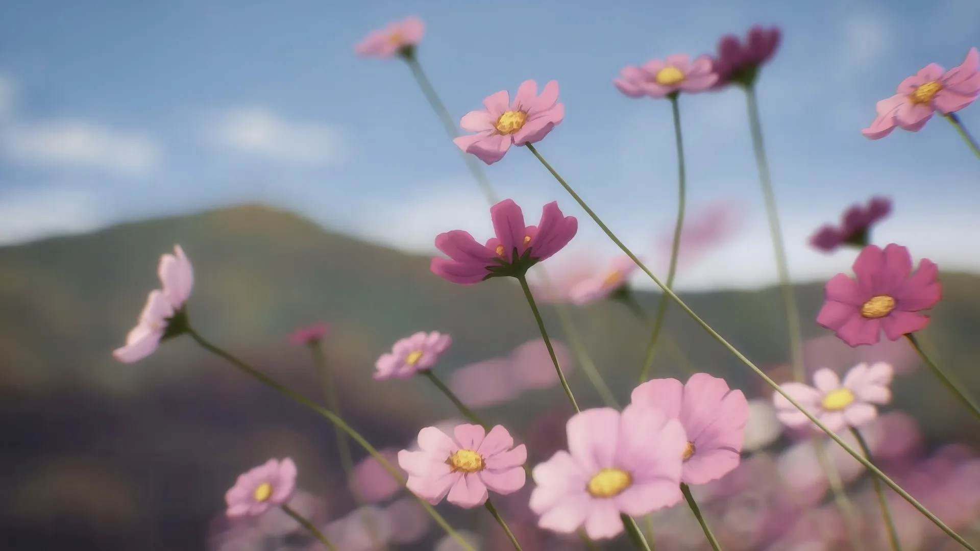 超级幼兽摩托车 花朵 粉色 模糊背景 秋英花 天空 特写 景深 自然 山脉 花瓣  4K壁纸
