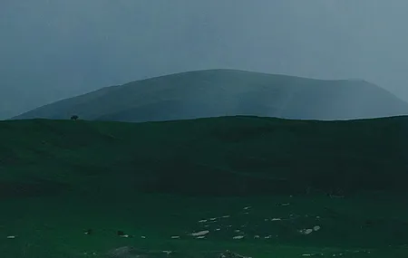 自然 风景 田野 小麦 天空 云朵 阴天 简洁背景 山丘 草地 摄影 绿色 4K壁纸